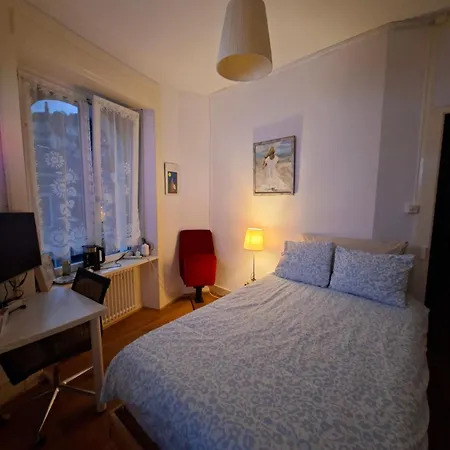 Bed & Breakfast With Splendid View In Montreux Center Veytaux