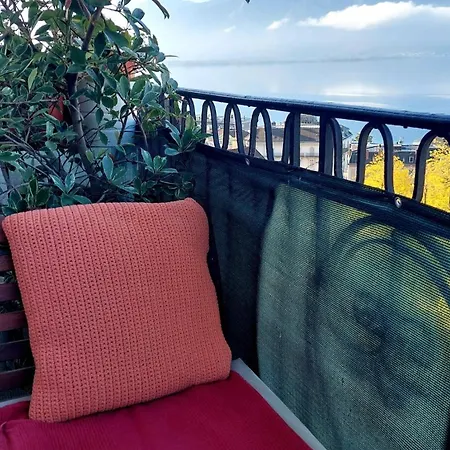 With Splendid View In Montreux Center